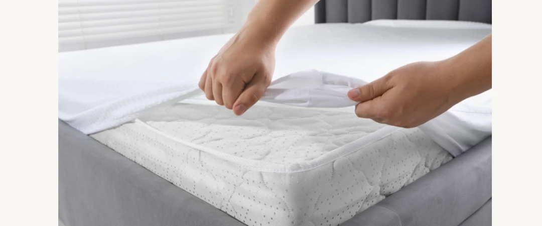 #housse anti punaise chambéry #remène anti punaise #produit punaise de lit