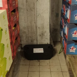 #entreprise de traitement de rat chambéry en urgence #entreprise de traitement de rat Aix Les Bains en urgence #entreprise de traitement de rat Savoie en urgence #entreprise de traitement de rat Annecy en urgence #entreprise de traitement de rat haute savoieen urgence